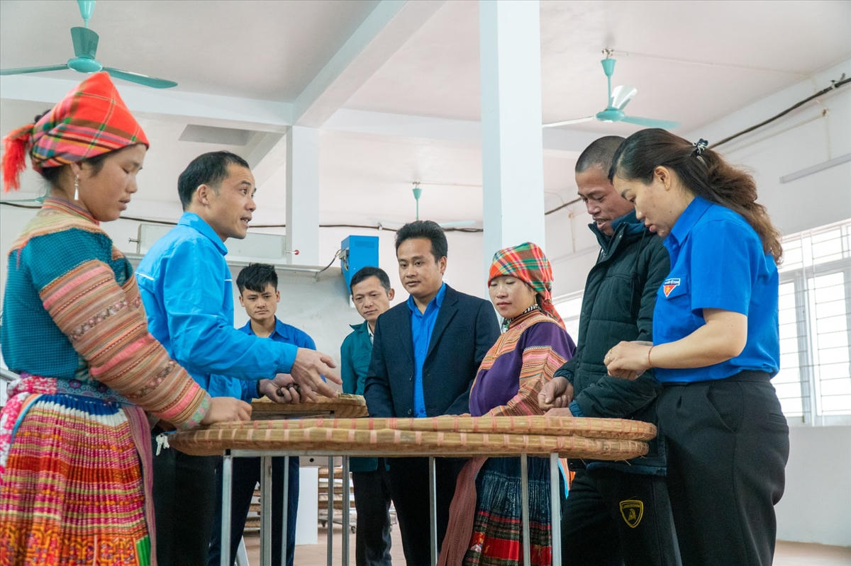 Xây dựng các sản phẩm từ chè Shan tuyết theo hướng OCOP