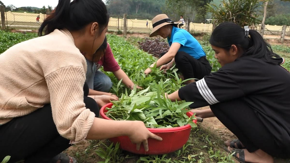 Ngoài các tiết học, tranh thủ thời gian rảnh các em học sinh bán trú chăm lo vườn rau sạch.  