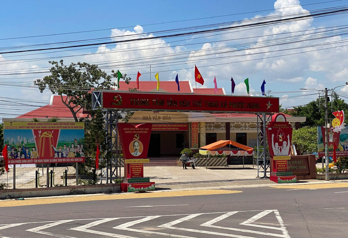 Bình Định xây dựng phương án rà soát, bố trí và sử dụng lại các tài sản sau sáp nhập