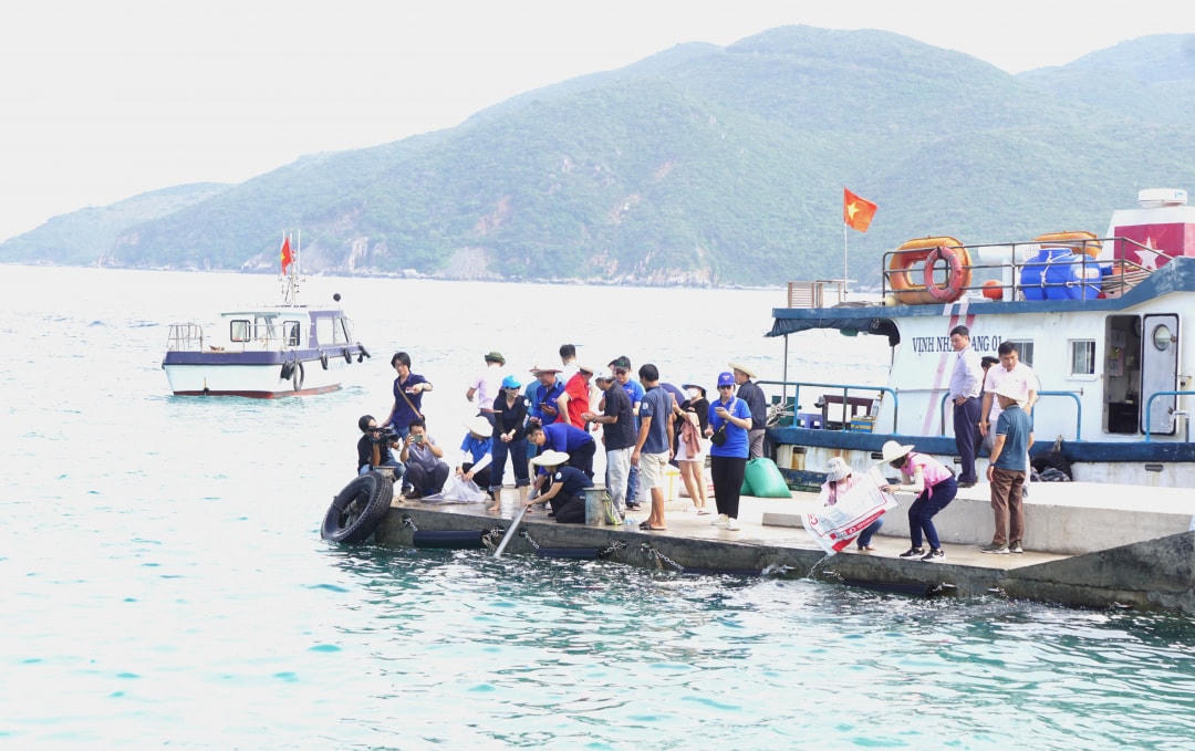 Thả cá giống tạo nguồn lợi thủy sản tại Khu Bảo tồn biển Hòn Mun (Nha Trang), ngày 4/6.