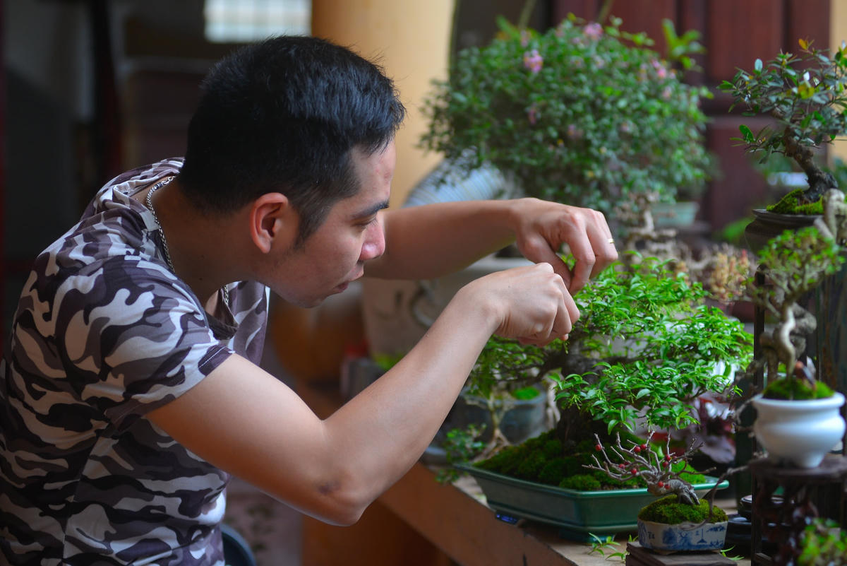 Anh Huy là một trong số ít người trẻ có niềm đam mê đặc biệt với cây cảnh. 