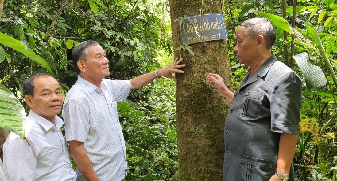 Nhiều cán bộ hưu trí đến rừng cây bác Năm Công.