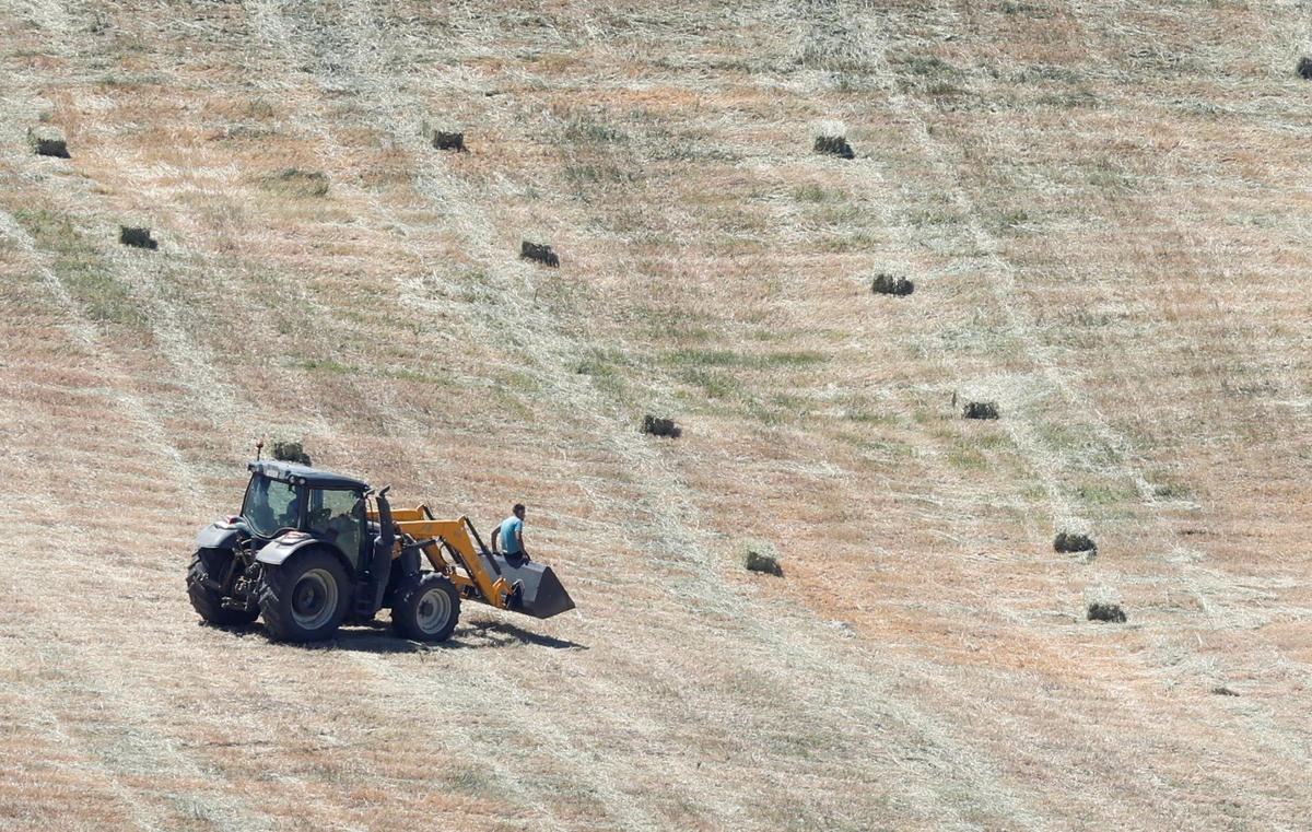 Hạn hán ở Madagascar khởi đầu cho một nạn đói. Nguồn: Bloomberg.  