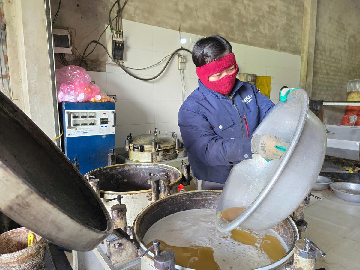 Nghệ An - Ép dầu 1