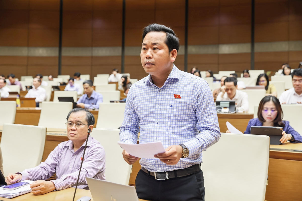 quan28-5.jpg