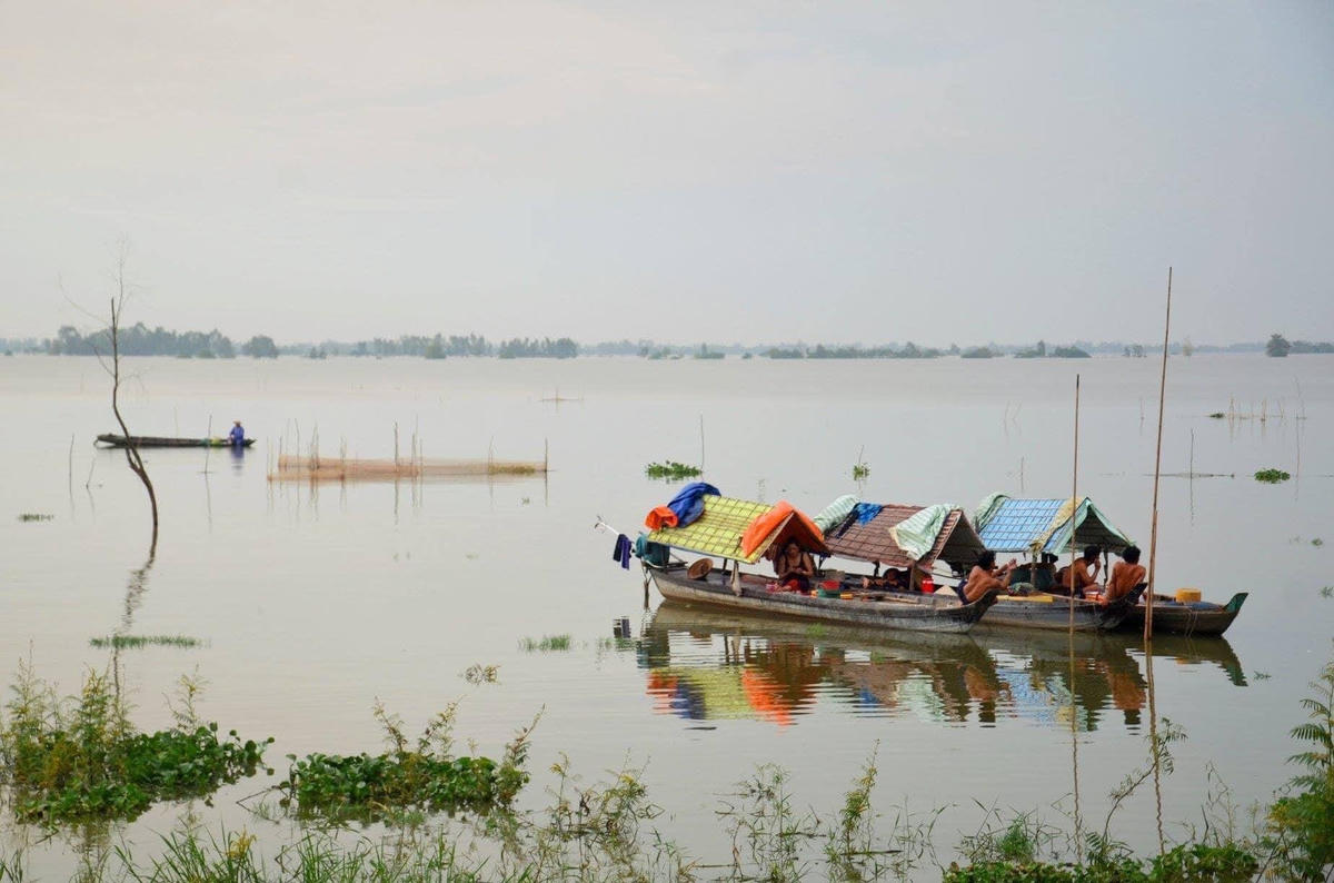 Xóm ghe mùa nước nổi.