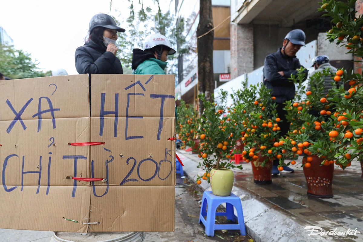 quat_dao-le-khanh55.jpg