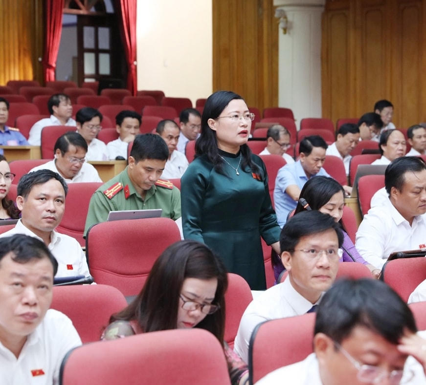 Đại biểu Nguyễn Thị Nguyệt, Bí thư Huyện ủy Thạch Hà, chất vấn. Ảnh BHT.