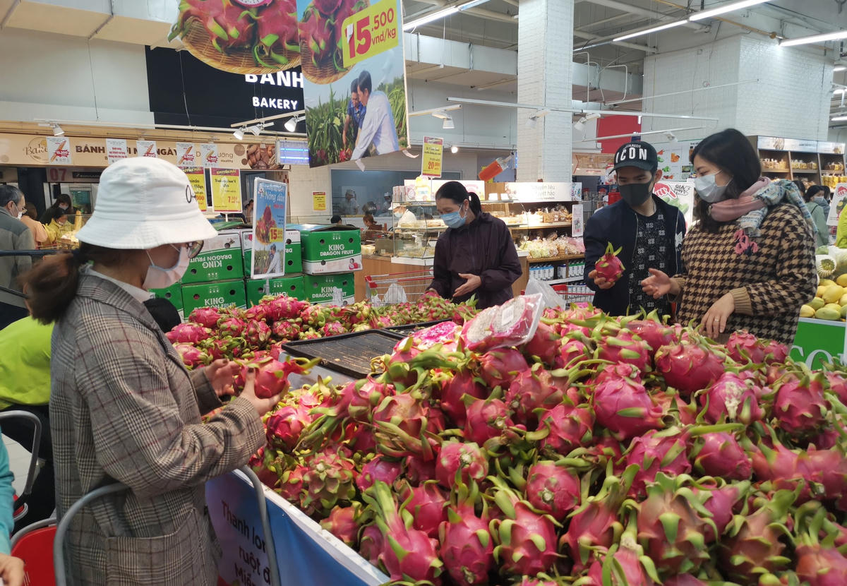 Thanh long, một trong những loại trái cây của Việt Nam được thị trường Trung Quốc ưa chuộng. Ảnh: Quang Vinh.