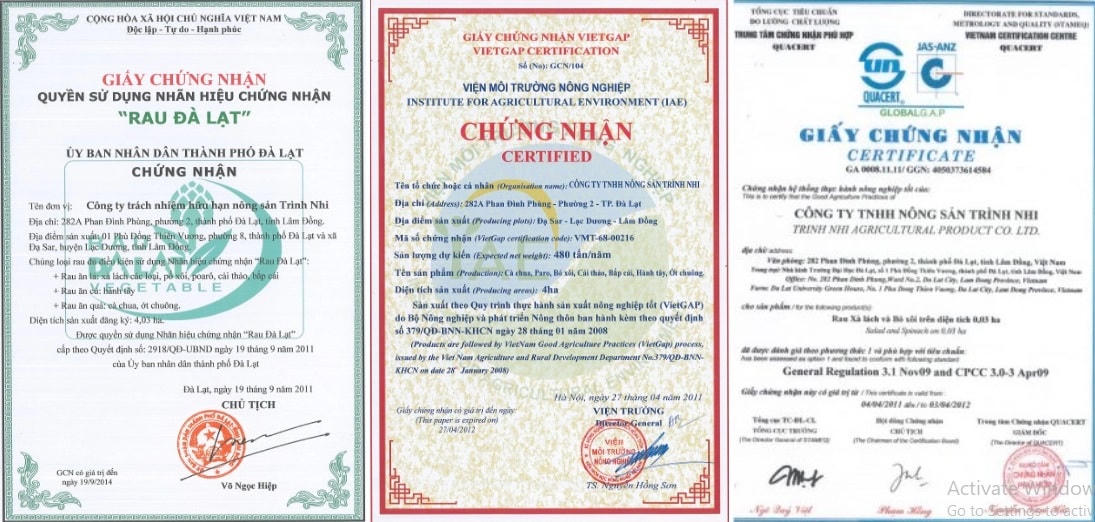 Các giấy chứng nhận mà Trình Nhi công bố trên trang web thời điểm hiện tại. Ảnh: TNF.