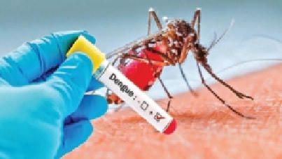 Xét nghiệm Dengue giúp chẩn đoán bệnh sốt xuất huyết.