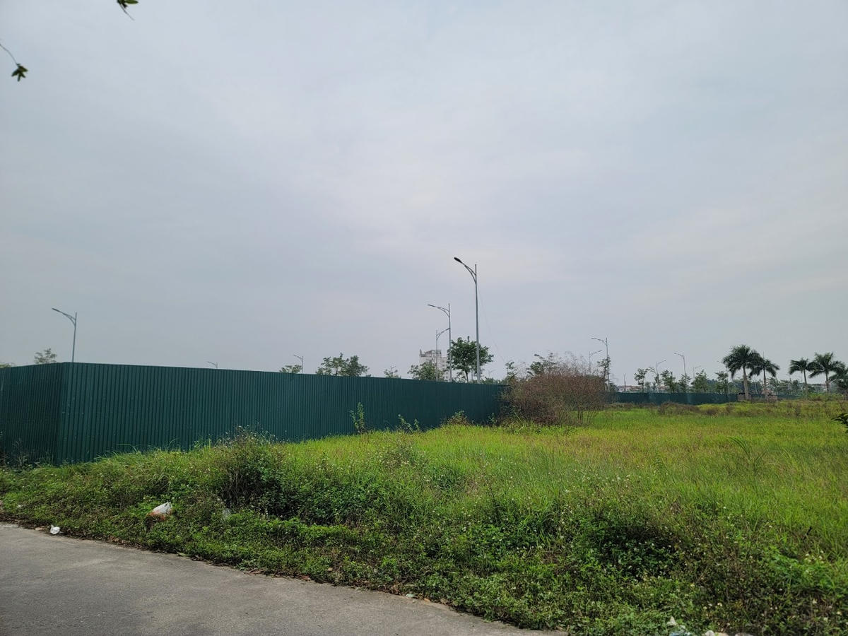 Cận cảnh khu đất huyện Đông Anh 'bán rẻ' cho cựu Chủ tịch Vimedimex Nguyễn Thị Loan