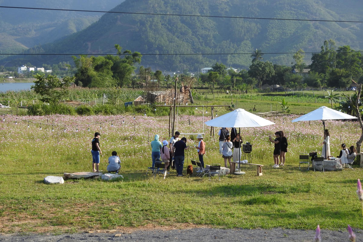 Điểm check in giữa cánh đồng. Ảnh Thanh Tùng.Nhà bạt ven sông của Khu du lịch "sinh thái"  Yên Retrat được đầu tư quy mô. Ảnh Thanh Tùng.Đường vào một "khu du lịch". Ảnh Thanh Tùng.Vườn chuối được rao bán làm du lịch. Ảnh Thanh Tùng.
