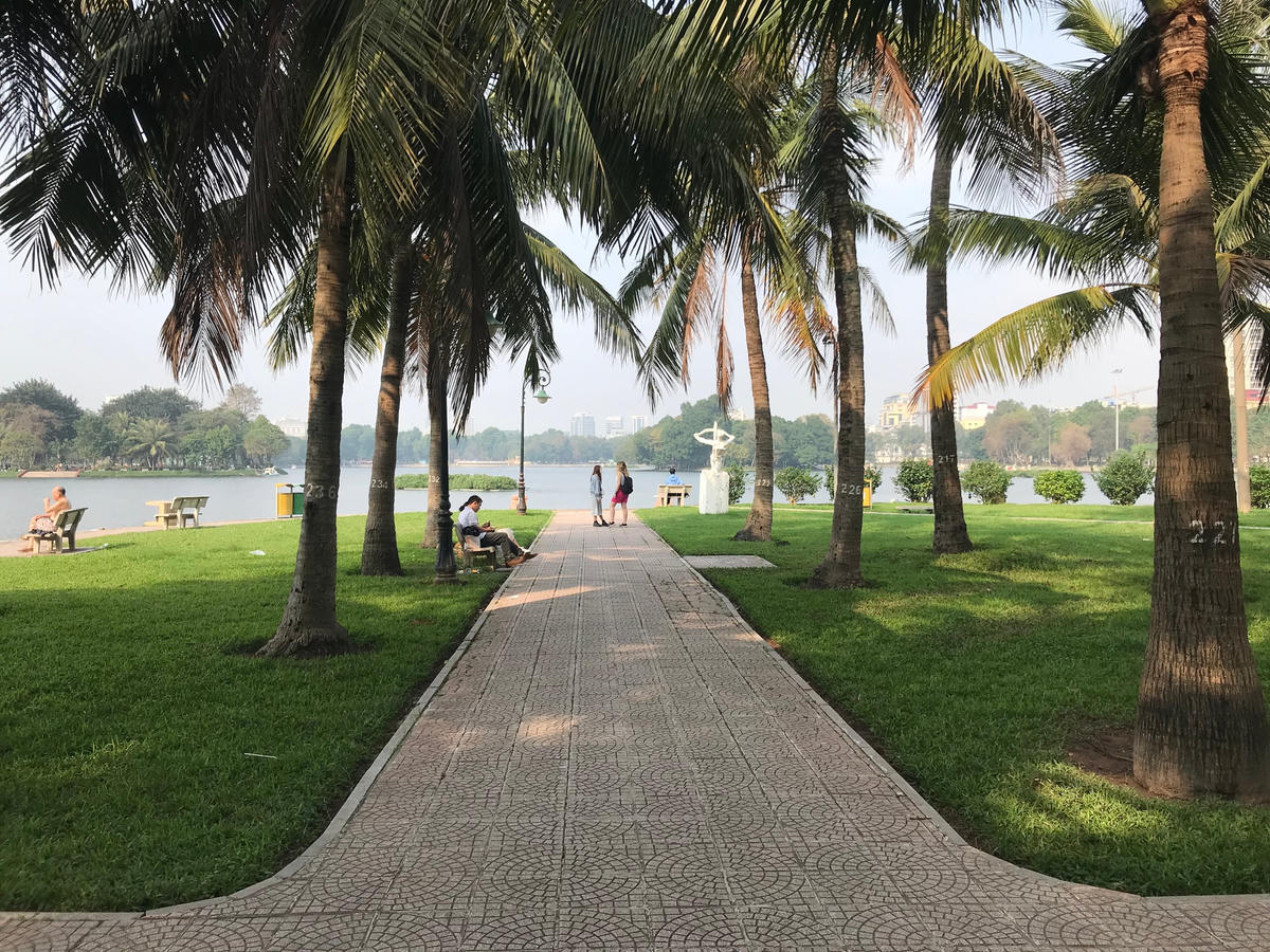 Không gian xanh trong công viên Thống Nhất, Hà Nội. Ảnh: Thư Hoàng.