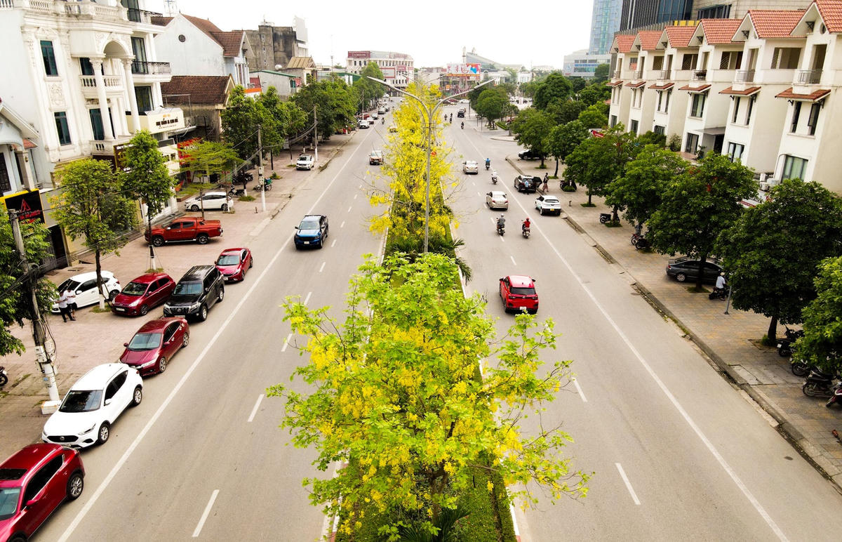 Những ngày này, hàng cây muồng hoàng yến trên đoạn đường trung tâm thành phố Hà Tĩnh đua nhau bung nở rực rỡ, thu hút mọi ánh nhìn. Ảnh: Cẩm Kỳ