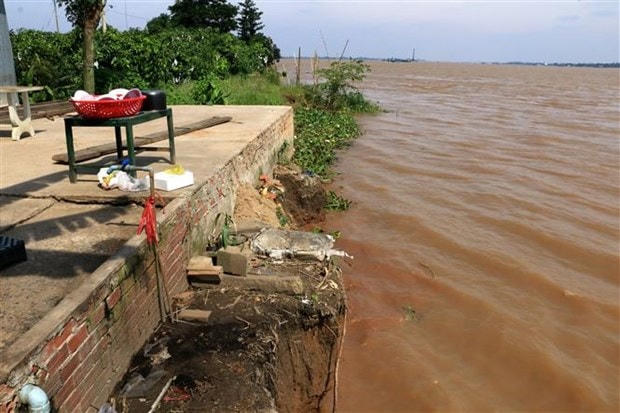 Bờ sông Tiền, đoạn thuộc xã Tân Quới, huyện Thanh Bình, tỉnh Đồng Tháp. Ảnh: Nhựt An/TTXVN.