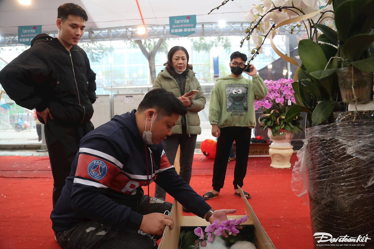 W_hoa_lan_ho_diep_da_lat-le-khanh18.jpg