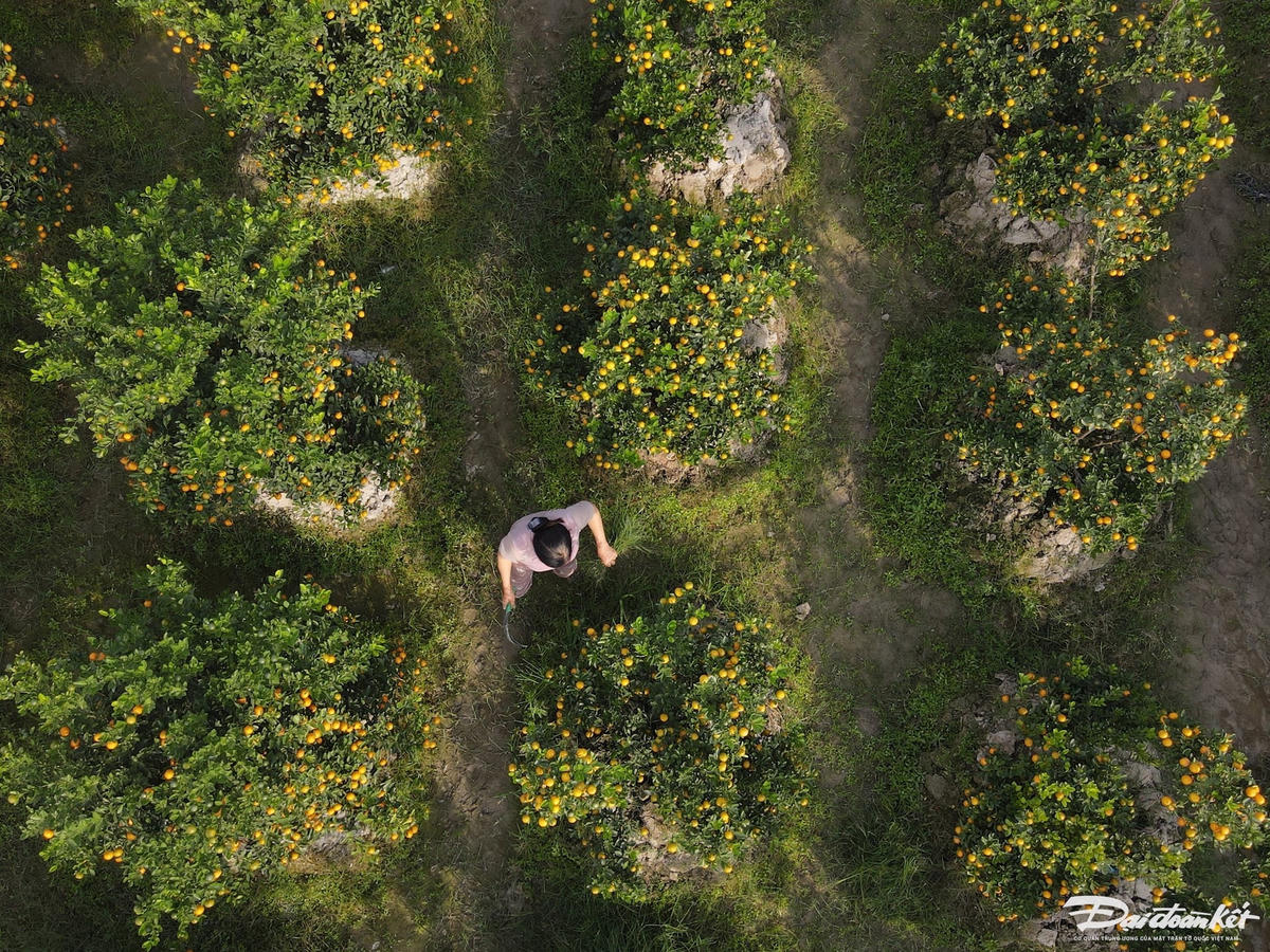 W_dji_fly_20240105_151342_410_1704442439451_photo.jpg