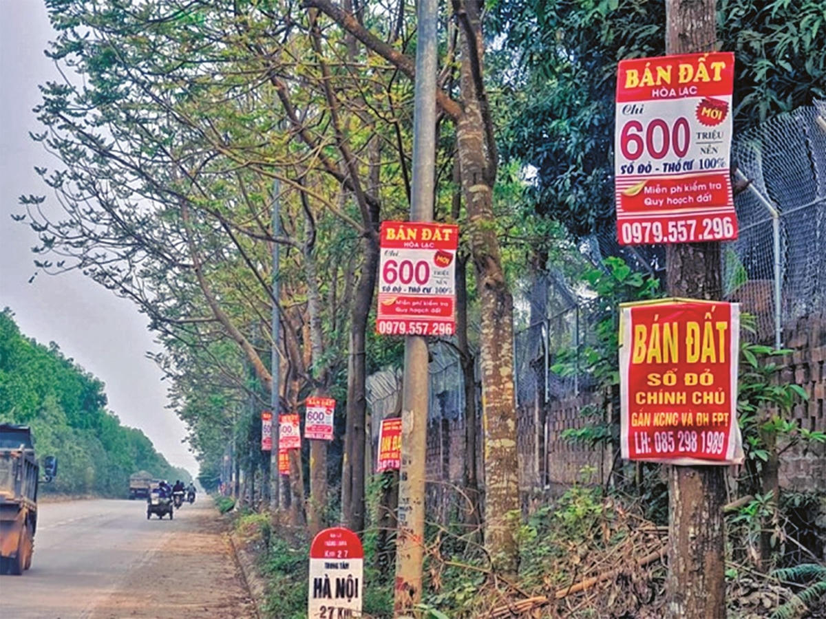 Không sát giá thị trường là nguyên nhân dẫn tới sốt đất.