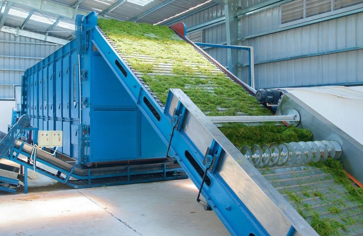 Hệ thống sấy cỏ sử dụng khí mê-tan được xử lý qua biogas giúp trang trại Vinamilk tiết kiệm được nhiều chi phí điện năng khi vận hành.