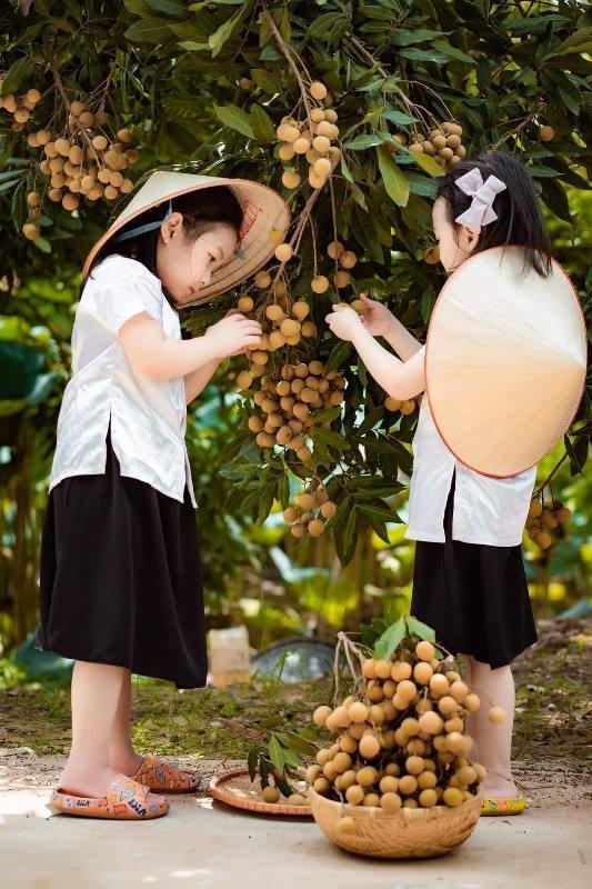 Tuổi thơ xứ nhãn.  Ảnh: ITN.