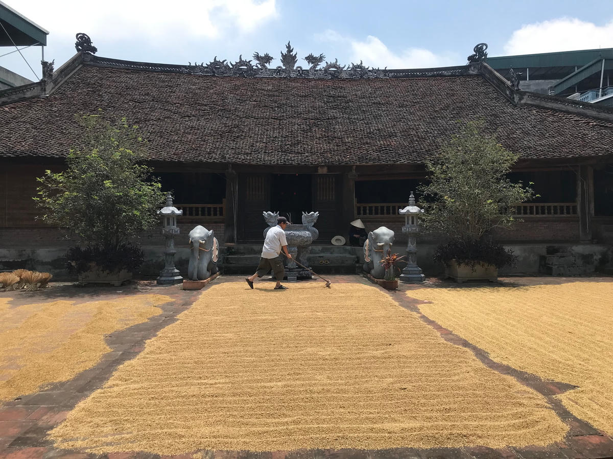 Sân đình là nơi người dân phơi những sản vật nông nghiệp.  