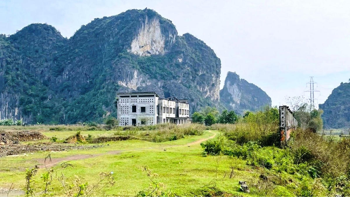 Dự án Nhà máy xi măng bị bỏ hoang đã gây ra tình trạng lãng phí đất nông nghiệp nghiêm trọng.