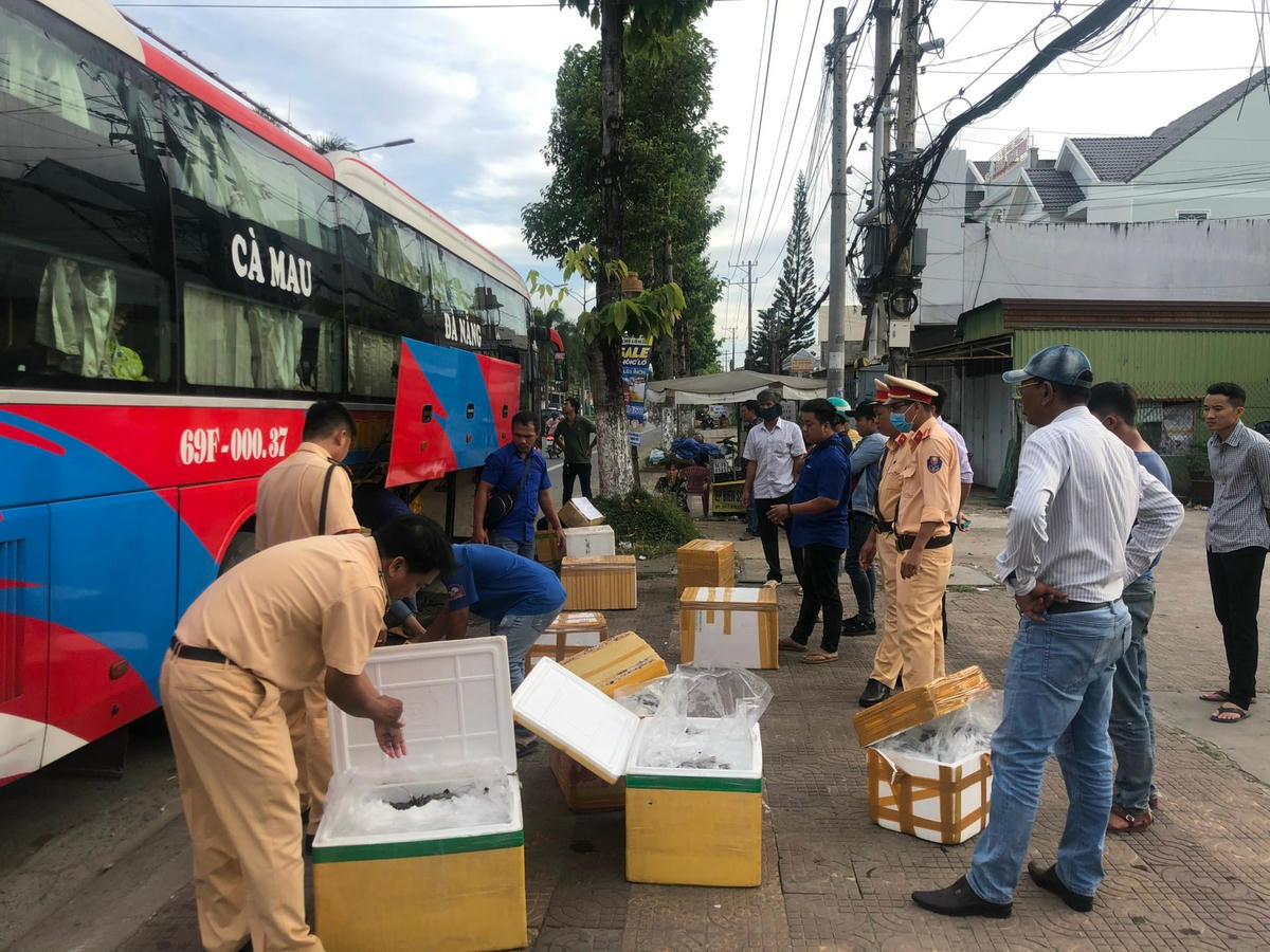 Xe vận chuyển tôm chứa tạp chất bị lực lượng chức năng phát hiện và thu giữ.