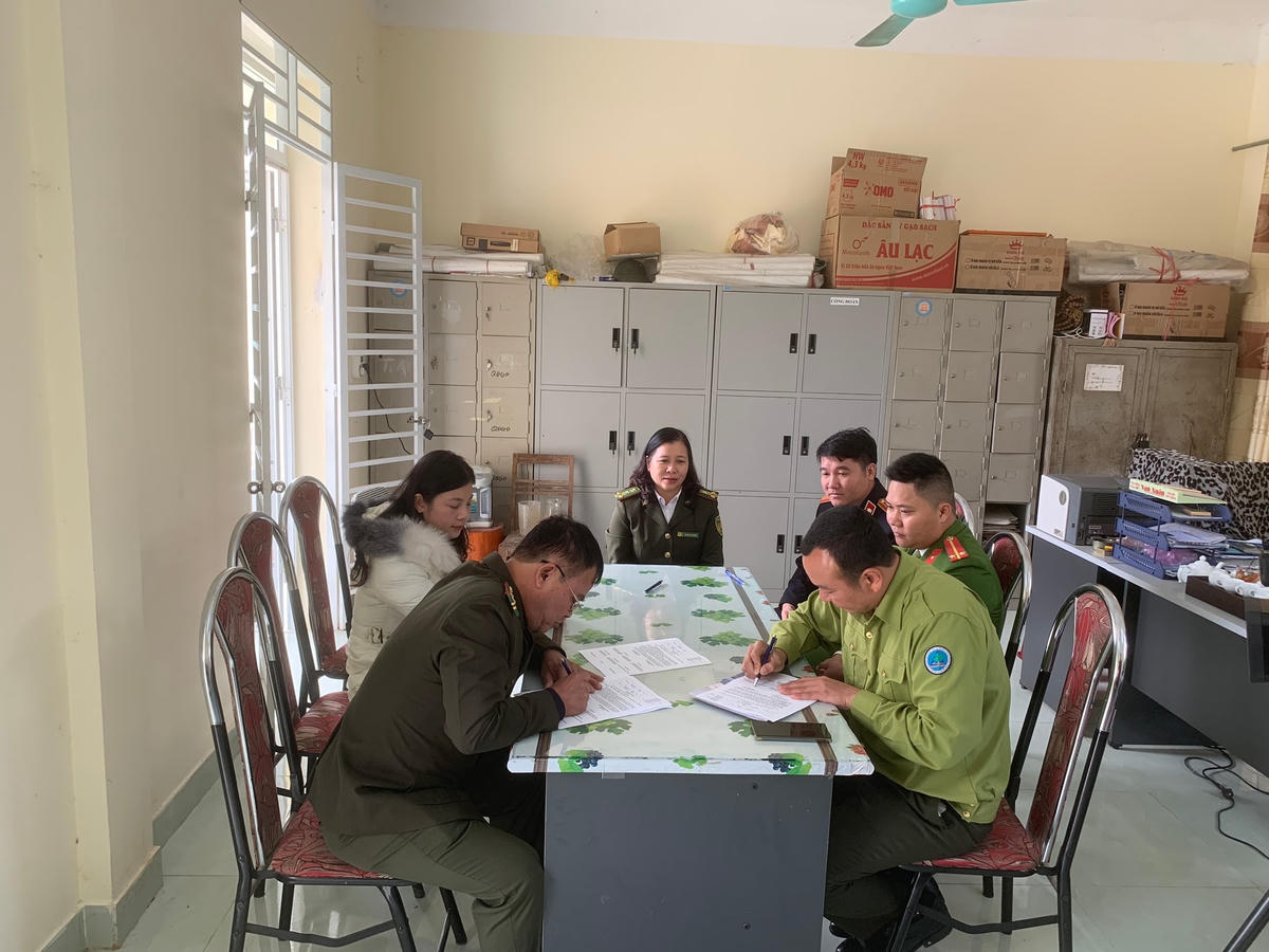 rung tâm Cứu hộ, Bảo tồn và Phát triển sinh vật Hoàng Liên và Hạt Kiểm lâm huyện Thạch An (tỉnh Cao Bằng) làm thủ tục bàn giao, tiếp nhận các cá thể chuột túi. Ảnh: Lã Tới