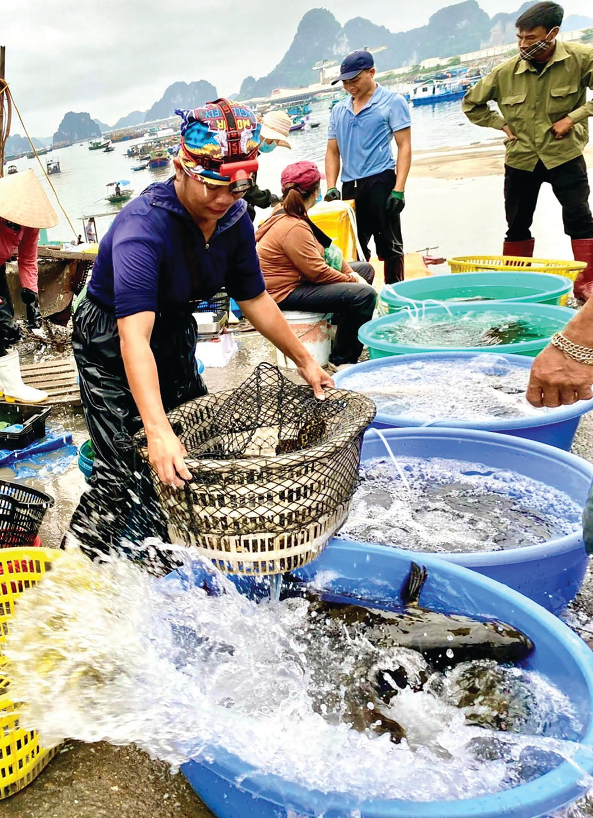 Tôm cá rất tươi ngon.