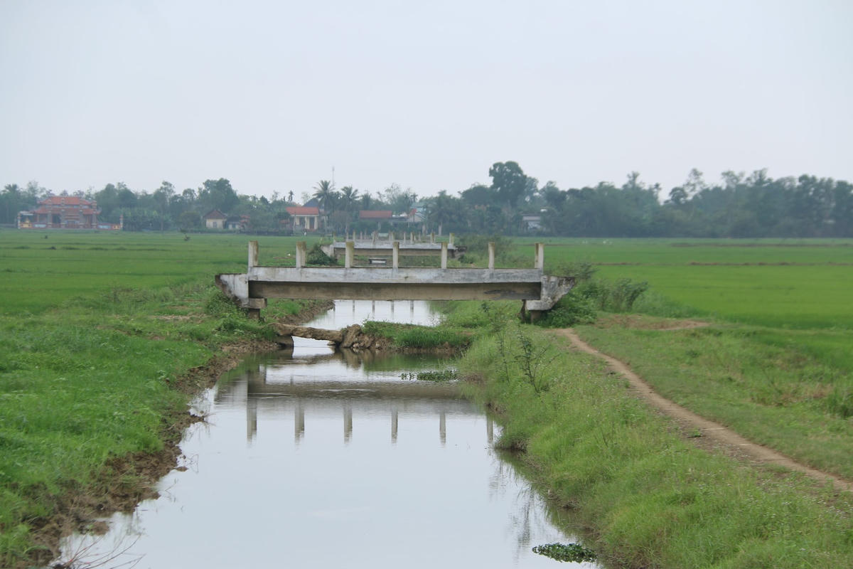 anh-bai-duoi.jpg