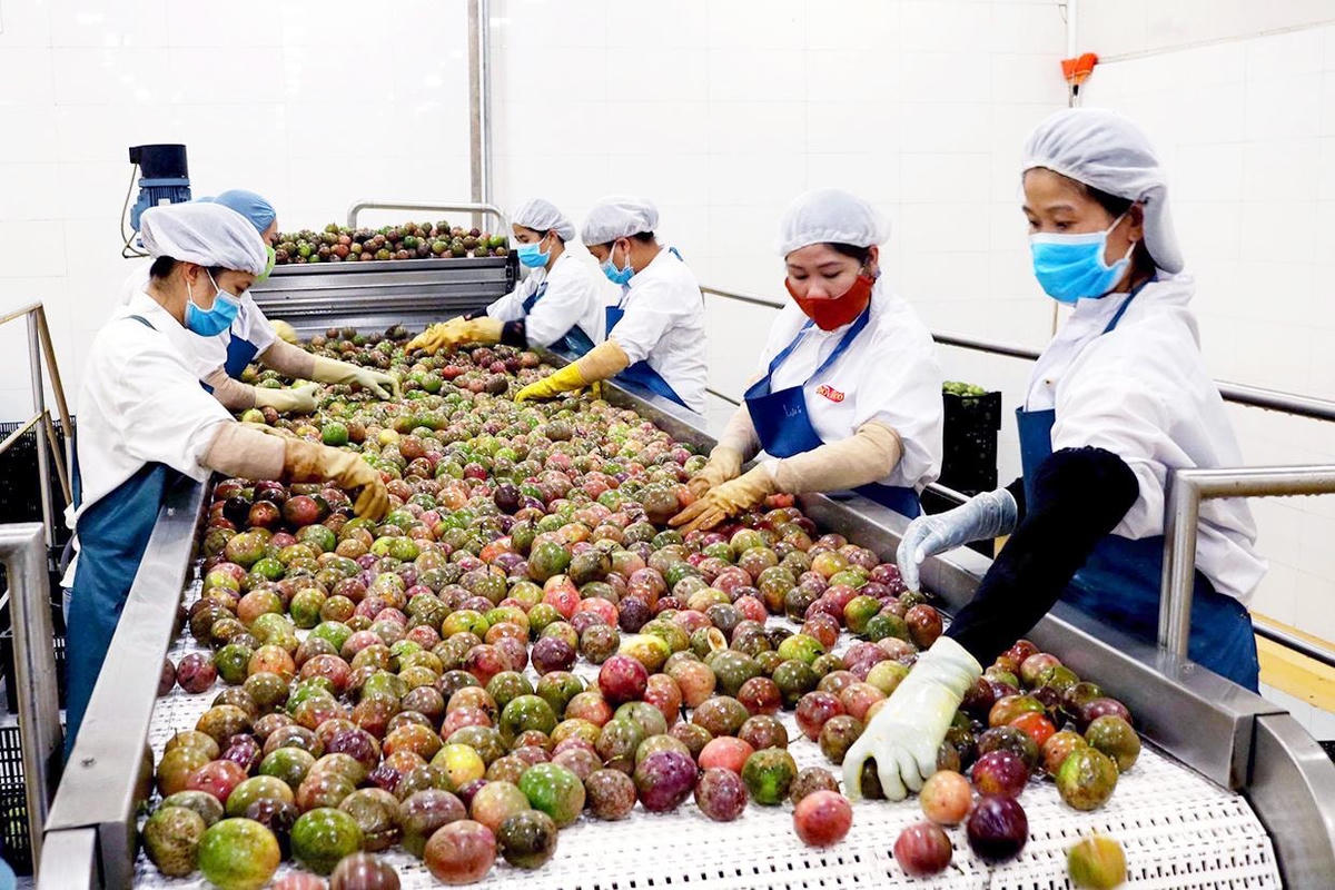 GDP tăng mạnh nhờ kim ngạch xuất khẩu phục hồi nhanh.