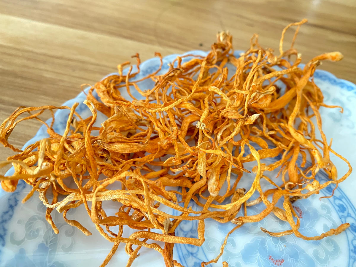 Đông trùng hạ thảo được biết đến rộng rãi với nhiều lợi ích sức khỏe tuyệt vời như tăng cường miễn dịch, nâng cao sức khỏe, bồi bổ cơ thể,... Ảnh: Thu Quỳnh