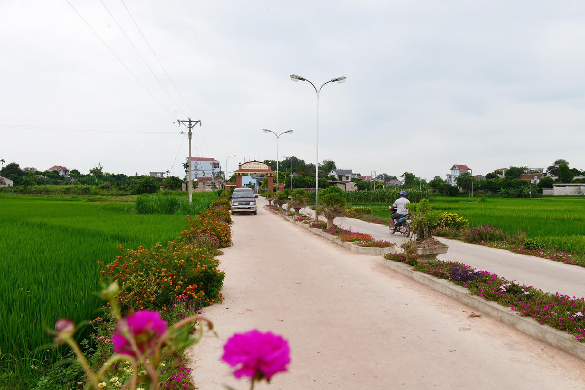 Bộ mặt nông thôn mới của tỉnh Bắc Giang ngày càng khởi sắc.