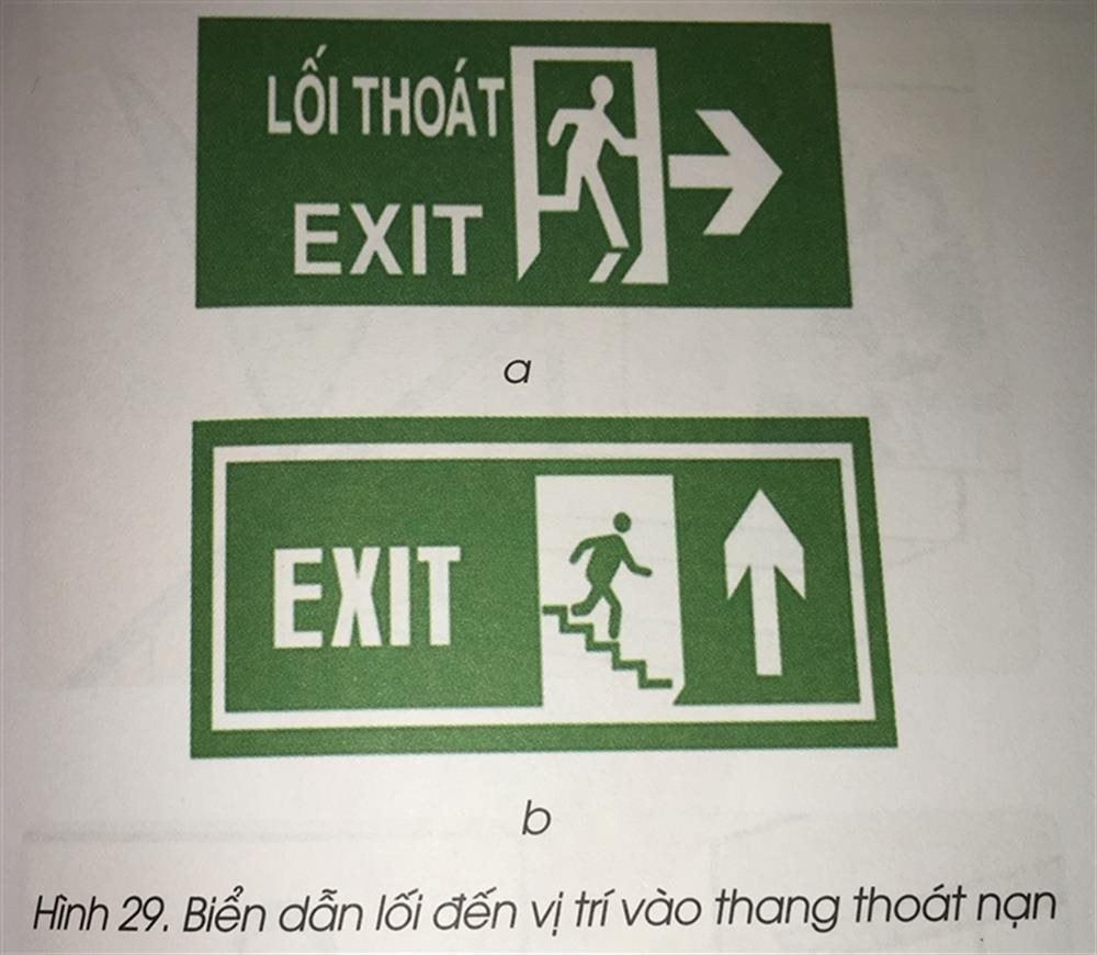 131_3.jpg