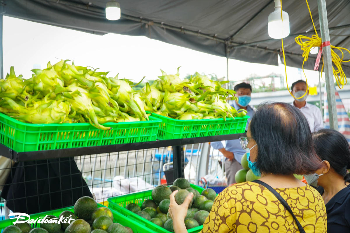 Lần đầu tiên TP HCM tổ chức tuần lễ trái cây ‘Trên bến, dưới thuyền’