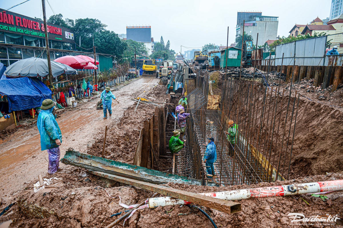 W_can-tet-tieu-thuong-cho-hoa-quang-ba-ngan-ngam-canh-duong-xa-bun-lay-31.jpg