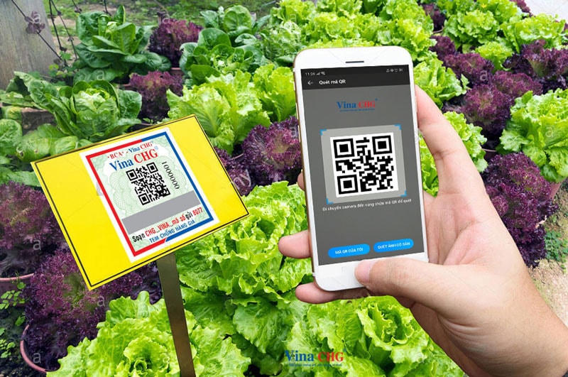Truy xuất nguồn gốc nông sản đang được mở rộng. Nguồn: CHG.