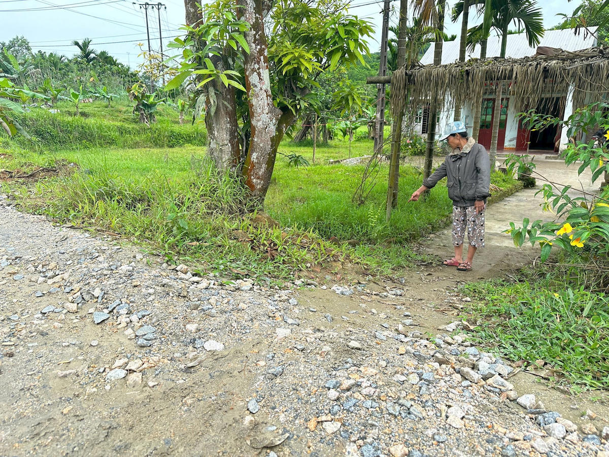 Bà Nguyễn Thị Thúy Phụng nói phần đất bàn giao cho đơn vị triển khai dự án.