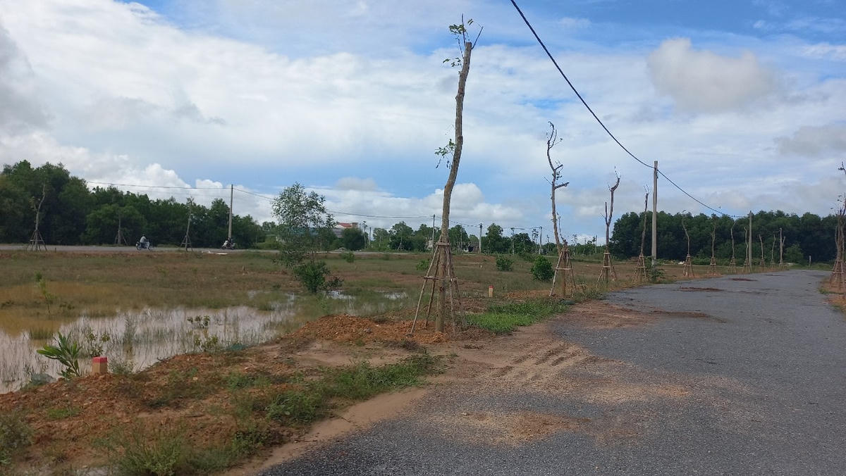 Có 3 người đã phải bỏ cọc sau khi đấu trúng các lô đất ở tại Khu đô thị khóm 6, thị trấn Diên Sanh.