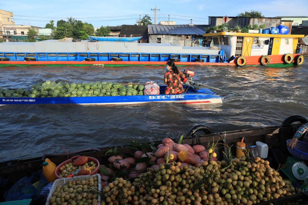 Sông nước miền Tây. Ảnh: Quang Vinh.