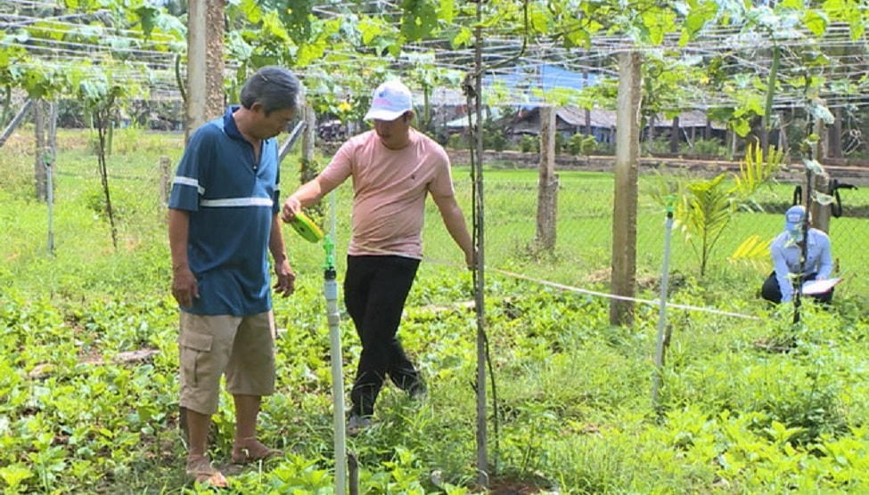 Đo đạc, kiểm đếm đất, tài sản ở hộ dân tại phường Hoài Hảo, thị xã Hoài Nhơn, tỉnh Bình Định.  