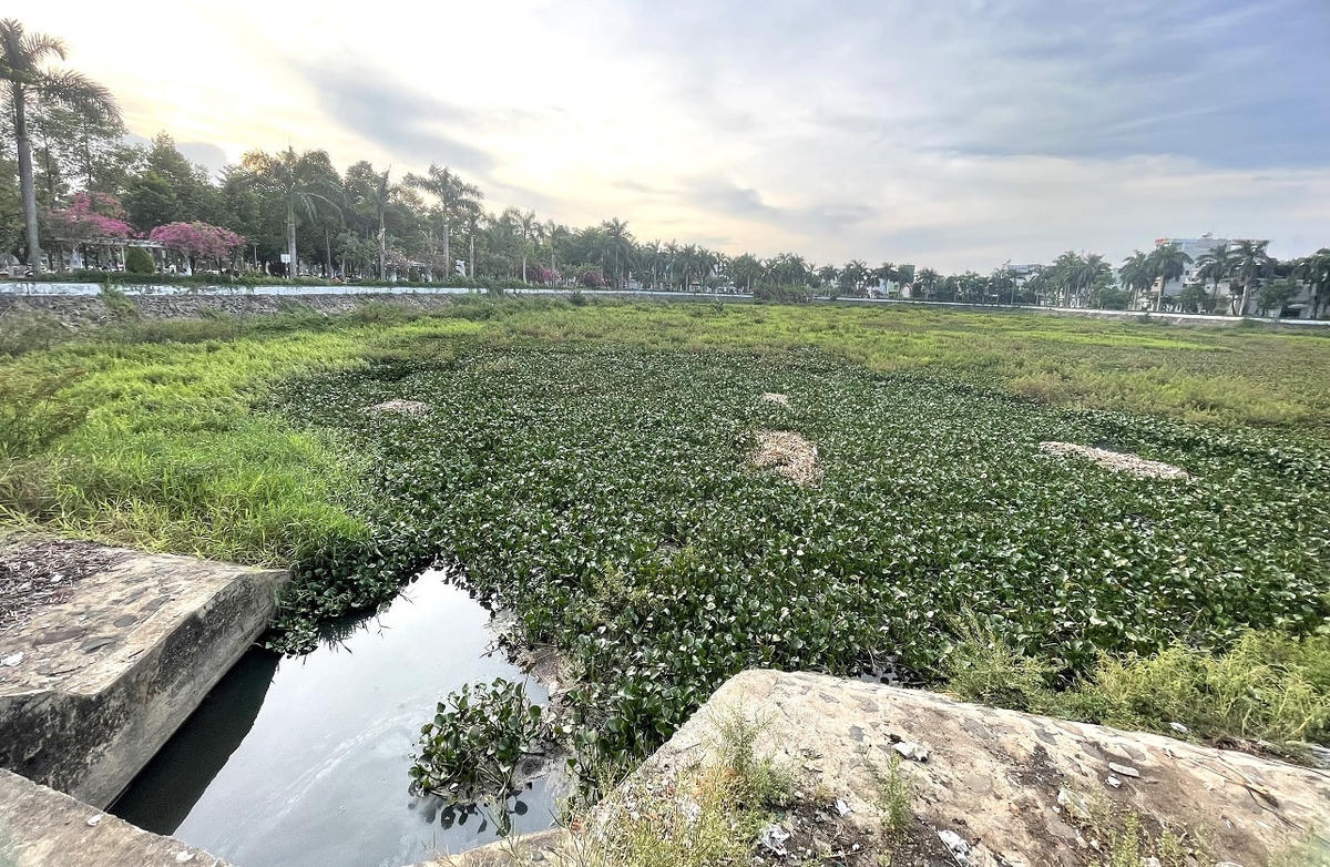 Tình trạng bồi lấp ở hồ điều hòa Nghĩa Chánh.