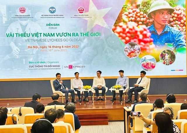 Chia sẻ, thảo luận của các diễn giả tại Diễn đàn. Ảnh mic.gov.vn.
