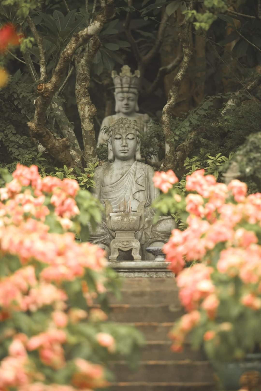 Khu thờ Phât Tổ uy nghiêm lộng lẫy được xây dựng trên nền đất đá.