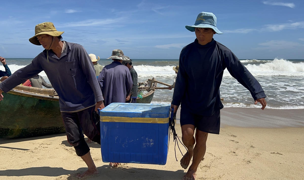 Ngư dân đưa hải sản đánh bắt được lên bờ.