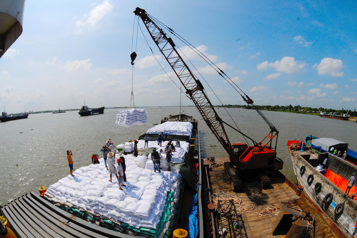 Xuất khẩu gạo dự báo nhiều khả quan trong năm 2023. Ảnh: Trần Thanh Phong.