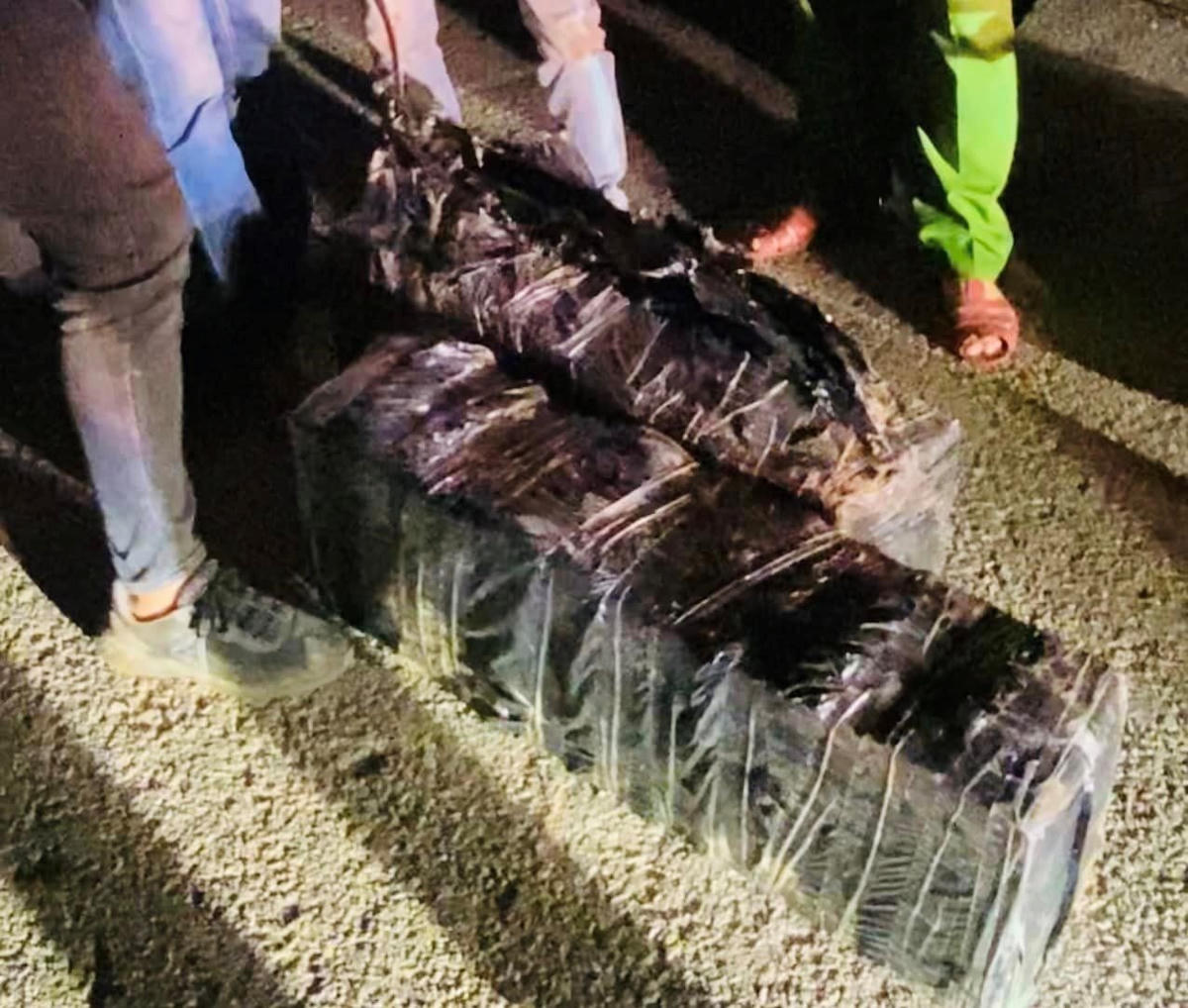 Toàn bộ số pháo được đối tượng ngụy trang trong túi ni lông màu đen. Ảnh: Công an huyện Hướng Hóa.