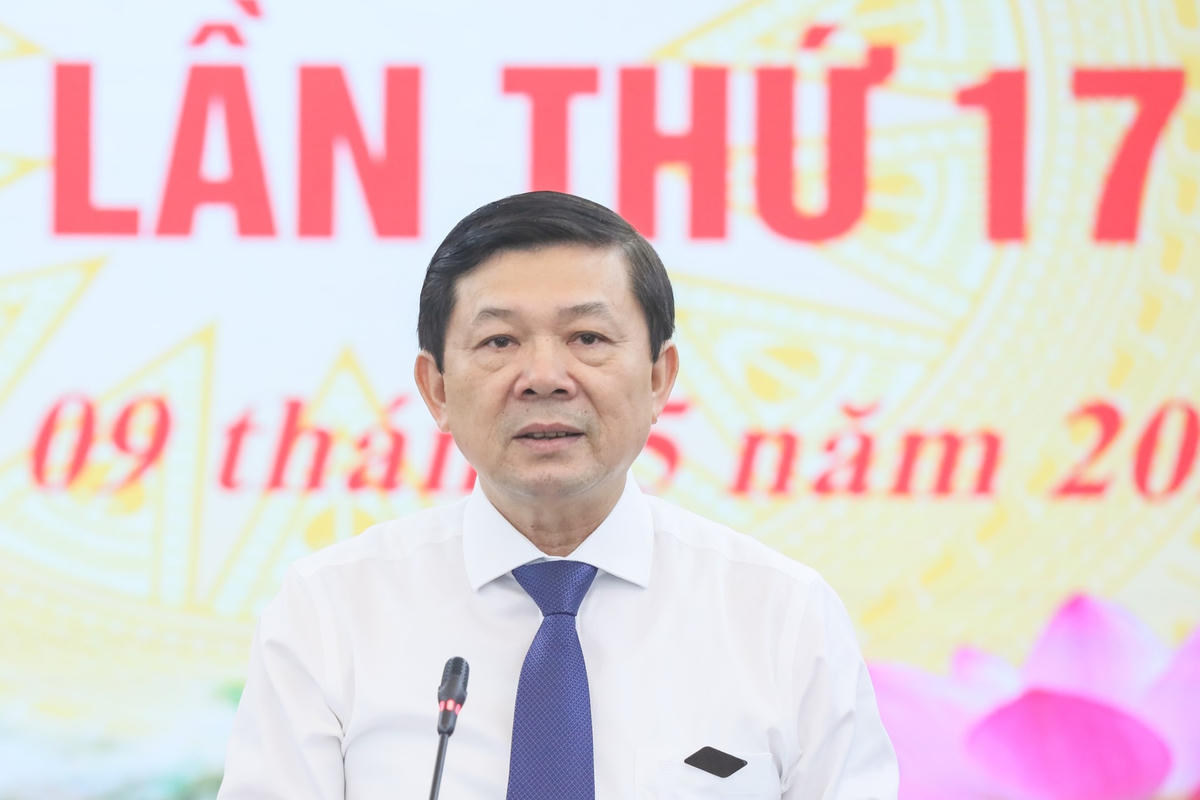 Phó Chủ tịch Nguyễn Hữu Dũng phát biểu tại Hội nghị. Ảnh: Quang Vinh.