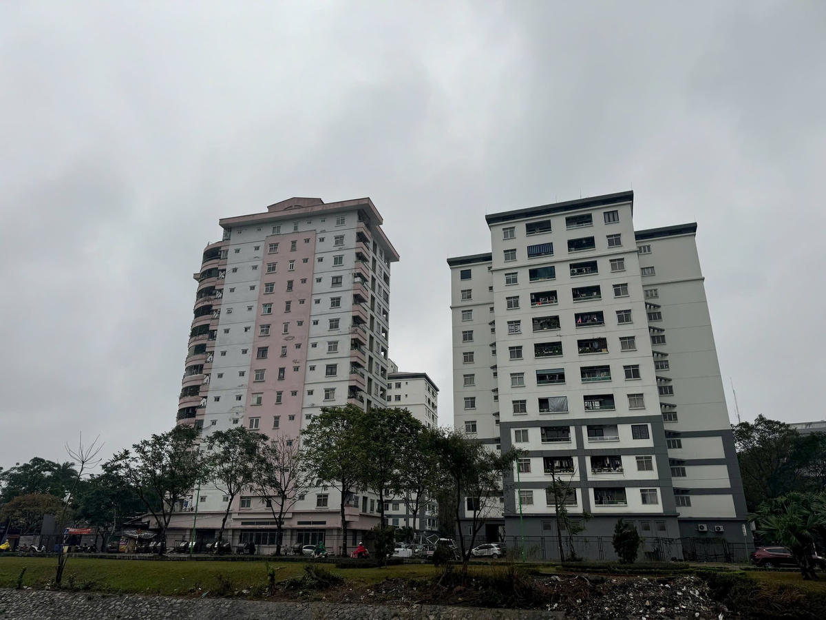 trang 14 55